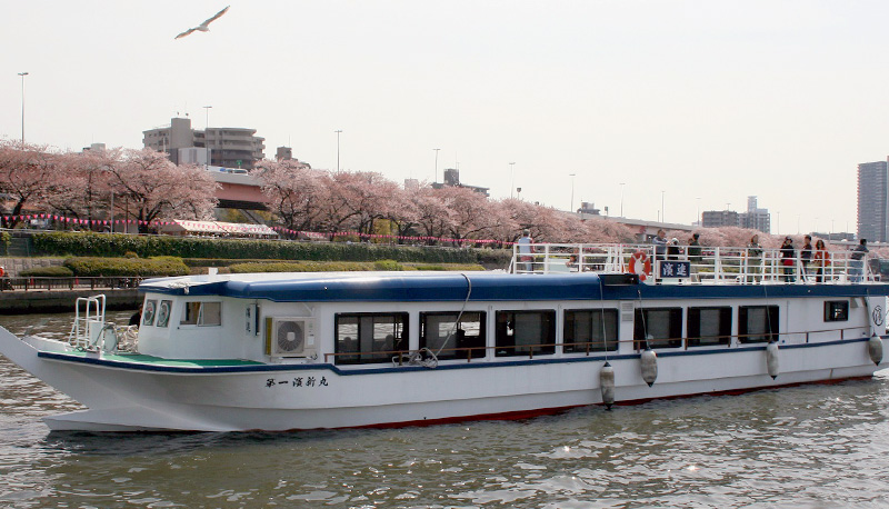東京隅田川ランチ